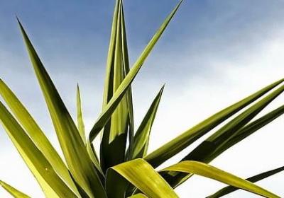 魅力女性的经典语录(精选49句)