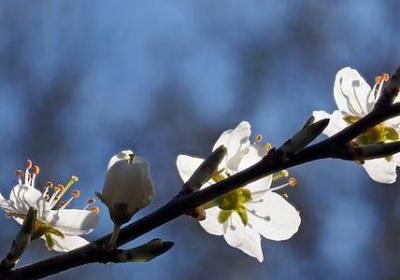 钱钟书经典语录106句(必备20句)