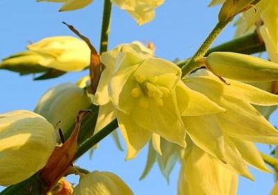 韩寒小说经典语录(共53句)