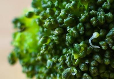 靠自己的经典语录(通用20句)