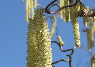 高尔基童年经典语录(共10句)