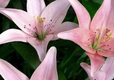 钱现实的句子经典语录(优选40句)