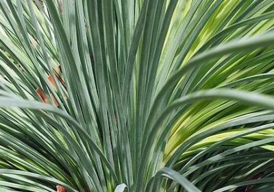 顾里经典语录(推荐40句)