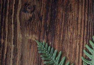 骂说谎的人经典语录(优选50句)