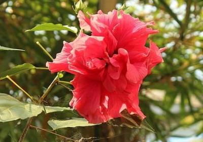 驾校教练经典语录(实用50句)