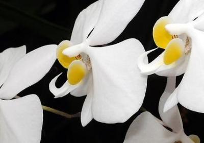 马老师经典语录(精选50句)