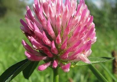 陪伴孩子成长经典语录(共50句) 陪伴孩子成长经典语录(共50句)