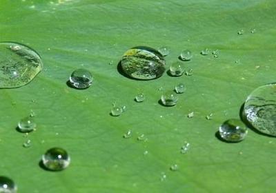 陶行知文集经典语录(必备41句) 陶行知文集经典语录(必备41句)