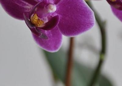 靠自己的说说经典语录(50句) 靠自己的说说经典语录(50句)