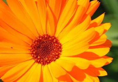 释迦摩尼经典语录(共20句) 释迦摩尼经典语录(共20句)