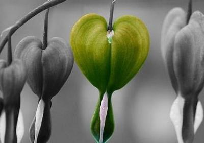 郭敬明经典语录(80句) 郭敬明经典语录(80句)