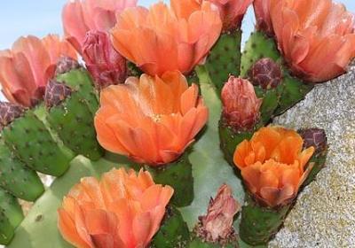 遇见王沥川的经典语录(合集70句) 遇见王沥川的经典语录(合集70句)