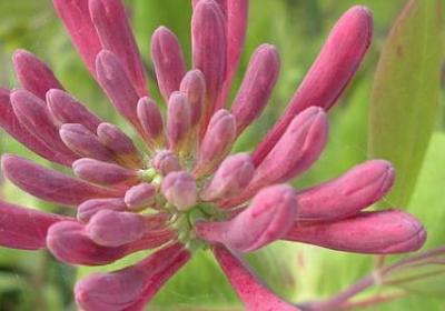 顾漫经典语录(必备70句) 顾漫经典语录(必备70句)