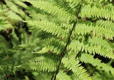 飘 经典语录(共79句) 飘 经典语录(共79句)