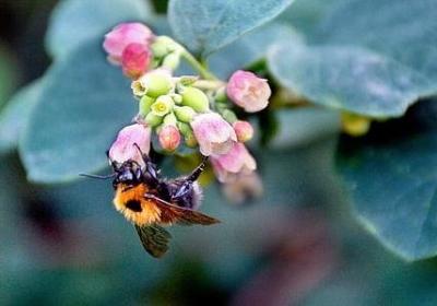 陪伴经典语录(50句) 陪伴经典语录(50句)