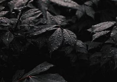 韩松落经典语录(汇总20句)