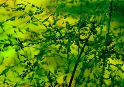 闺蜜十年经典语录(推荐70句)