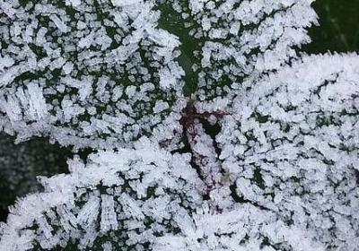 韦小宝经典语录(汇总70句) 韦小宝经典语录(汇总70句)