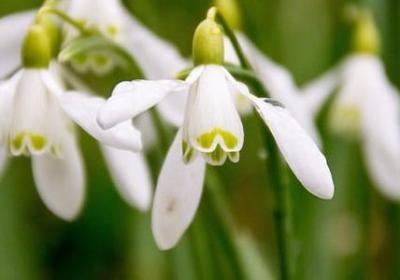 披荆斩棘励志的句子(60句)