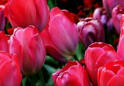 田径励志图片(精选40句)