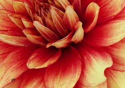 每日箴言 励志(精选70句) 每日箴言 励志(精选70句)