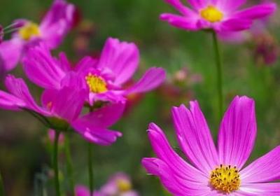 班歌励志(必备20句) 班歌励志(必备20句)