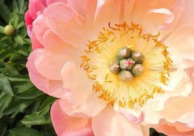 比较励志的短句(推荐40句) 比较励志的短句(推荐40句)