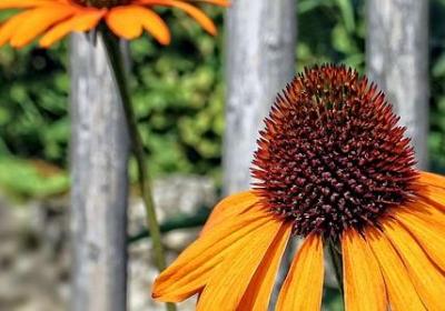 泰戈尔励志的诗歌(必备50句) 泰戈尔励志的诗歌(必备50句)