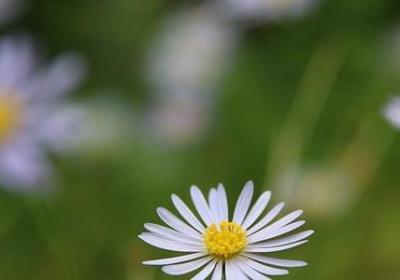 演讲稿 励志(必备8句) 演讲稿 励志(必备8句)