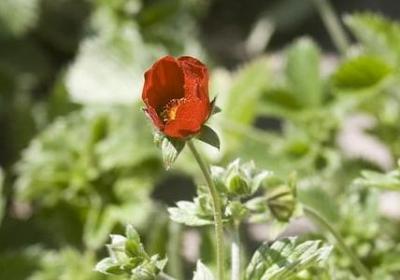 每天励志一句话(实用80句) 每天励志一句话(实用80句)