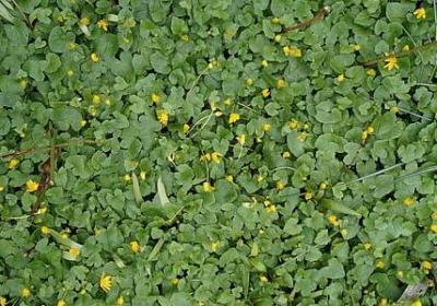 流汗不流泪的励志语(优选60句) 流汗不流泪的励志语(优选60句)