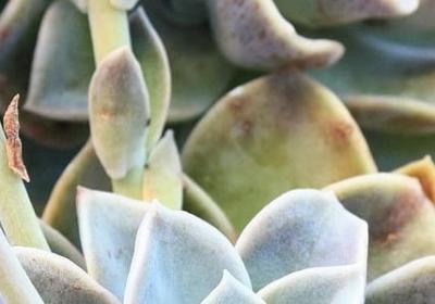 照片励志(必备40句) 照片励志(必备40句)