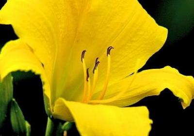 男士健身励志图片(汇总51句) 男士健身励志图片(汇总51句)