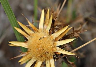 电脑桌面励志壁纸(通用60句) 电脑桌面励志壁纸(通用60句)