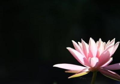 每天都是新的开始励志(热门50句) 每天都是新的开始励志(热门50句)