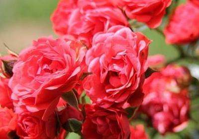 爬山励志图片大全(汇总49句) 爬山励志图片大全(汇总49句)