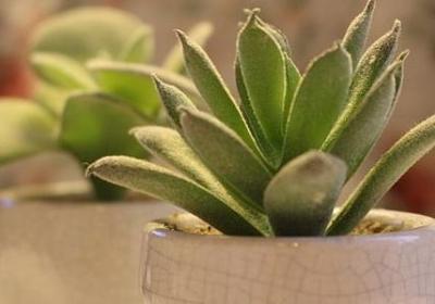 橄榄球励志(共50句)