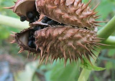 爱情励志图片(实用60句) 爱情励志图片(实用60句)