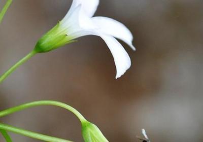 永不言弃视频励志短片(优选40句)