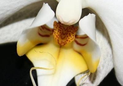 波哥励志演讲视频(热门10句)