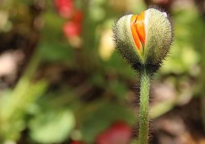 比较励志的队名(推荐49句)