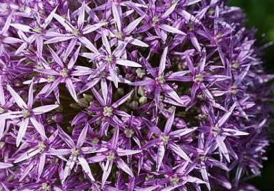 男生励志头像(必备40句)