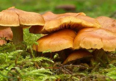 狂龙励志演讲(共20句)