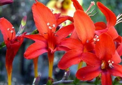 现代励志人物故事(实用6句)