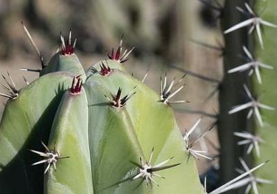 现代励志故事(实用40句)