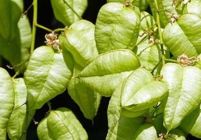 男人成长励志的句子(精选50句)