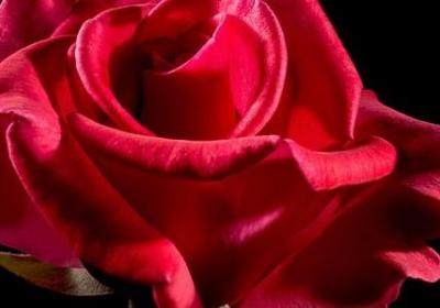 男人三十而立励志短句(通用50句)