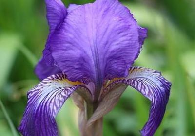 海贼王励志语录(合集60句)