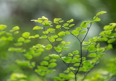 比较励志的英文歌(必备61句)