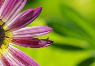 比较励志的句子(推荐70句)